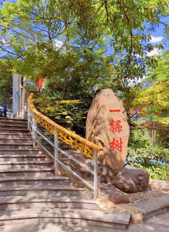 天亲子游攻略动物园+科技馆路线+预算分享PG麻将胡了免费模拟器重庆适合玩几天：4(图2)